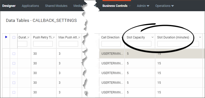 Designer Callback Settings-datatable settings-for-capacity.png
