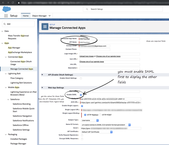 File:Gplus 900 Salesforce Setup New Connected App View.png