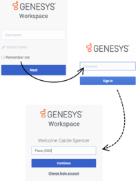 The login process. Click the link below for the accessibility description.