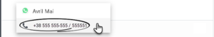 GAPI 900 No Message Field No Start Chat Button.png