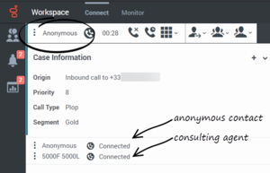 A voice interaction from an anonymous caller. Anonymous is displayed in the Interaction Toolbar and Call Status area.